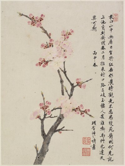 Album van tien bladeren, 1656 door Shengmo Xiang